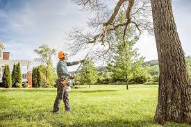 Best Lawn Irrigation Installation and Maintenance  in Monterey, TN