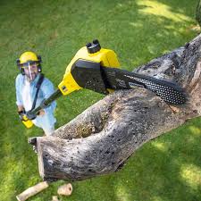Best Weed Control  in Monterey, TN